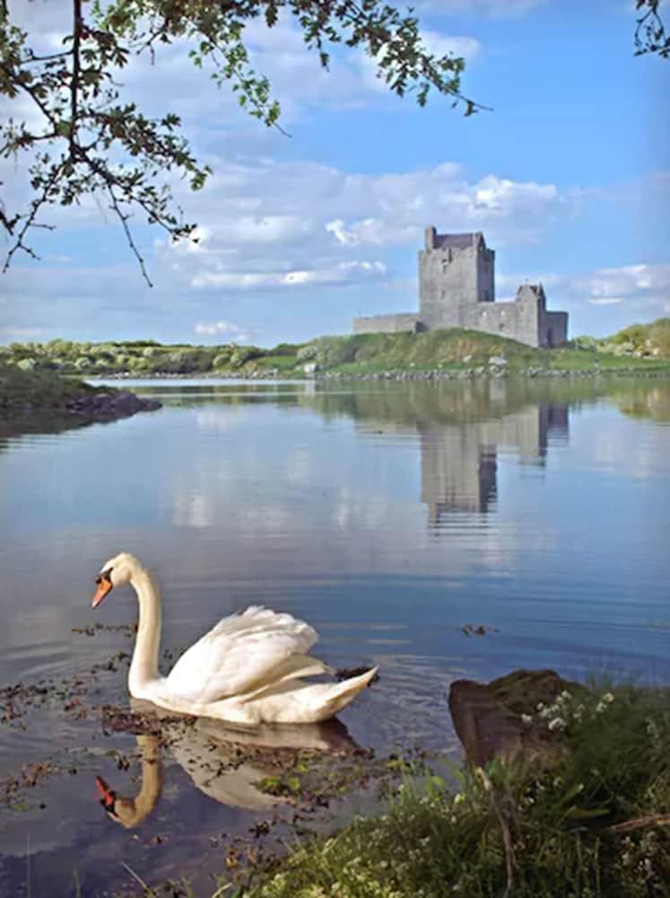 Merriman Hotel Kinvara Luaran gambar